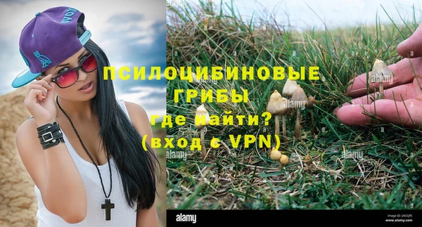 трава Россошь