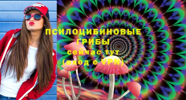 винт Оленегорск