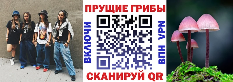 Псилоцибиновые грибы Cubensis  kraken рабочий сайт  Среднеуральск 